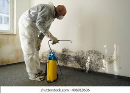 Trusted St Lawrence, PA Mold Prevention & Removal  Experts